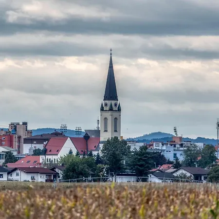 House Vilana With Jacuzzi - Happy * Puconci